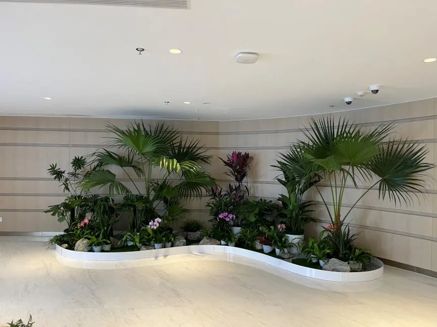 宁波江北绿化养护方案